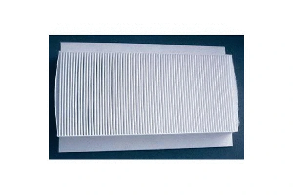 Filter, cabin air (161)