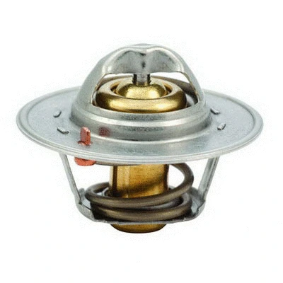 Thermostat, coolant (94.093)