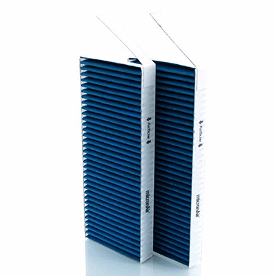 Filter, cabin air (BL938-2)