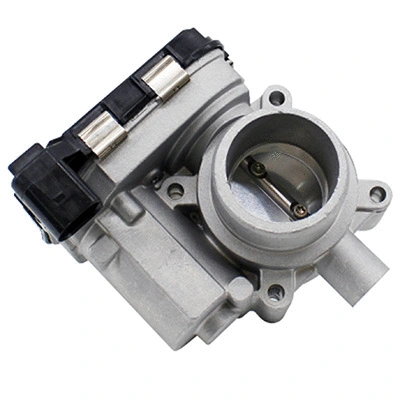 Throttle Body (88.060A2)