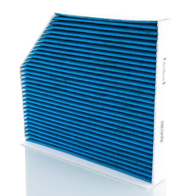 Filter, cabin air (BL771)