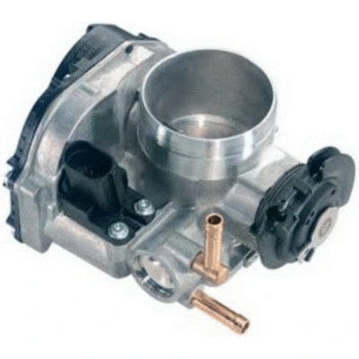 Throttle Body (88.017)