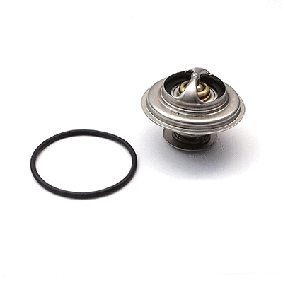 Thermostat, coolant (94.476)