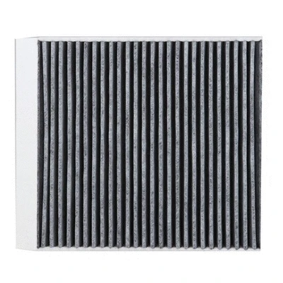 Filter, cabin air (881)