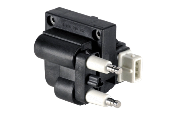 Ignition Coil (85.30127)