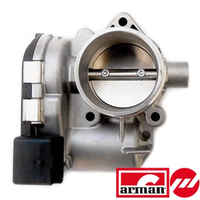 Throttle Body (88.302AS)