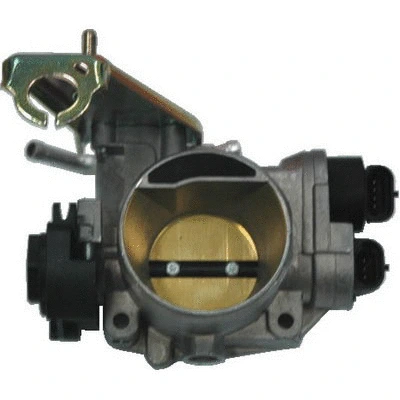 Throttle Body (88.063)