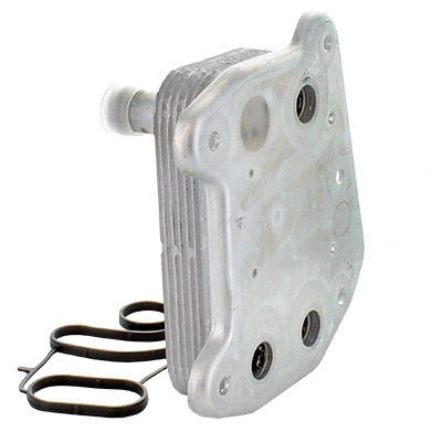 Oil Cooler, engine oil (590019)