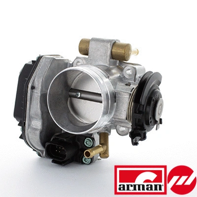Throttle Body (88.005AS)