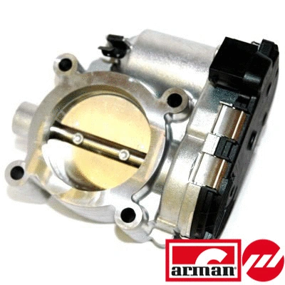 Throttle Body (88.149AS)