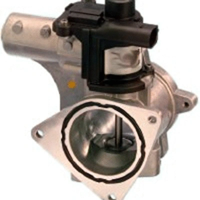 EGR Valve (83.841R)