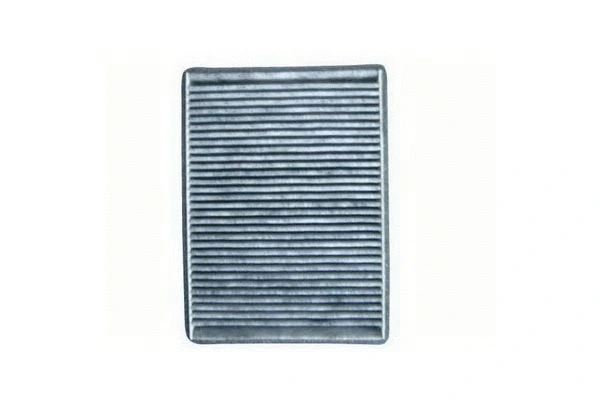 Filter, cabin air (589)