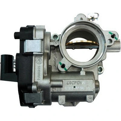 Throttle Body (88.074)