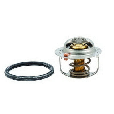 Thermostat, coolant (94.546)