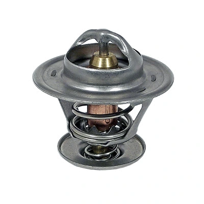 Thermostat, coolant (94.194)
