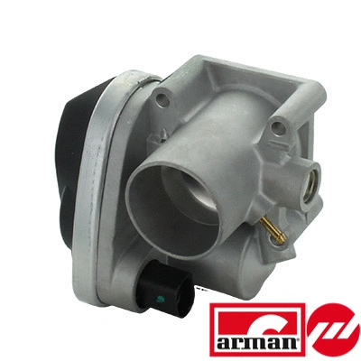 Throttle Body (88.193AS)