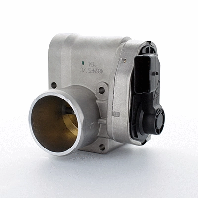 Throttle Body (88.061)