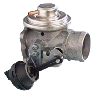 EGR Valve (83.621)