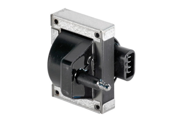 Ignition Coil (85.30093)