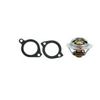 Thermostat, coolant (94.311)