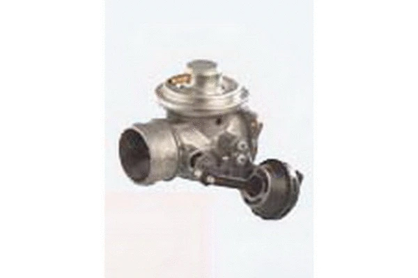 EGR Valve (83.722)