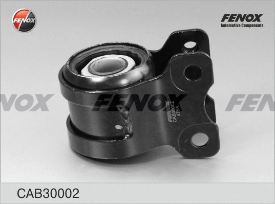 Mounting, control/trailing arm