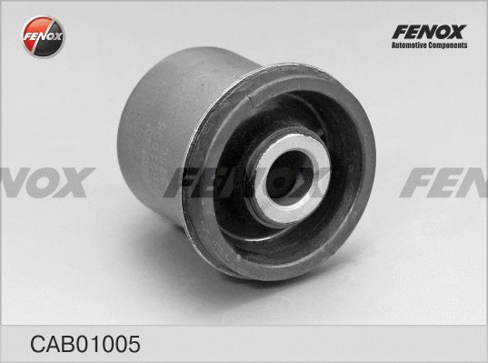Mounting, control/trailing arm (CAB01005)