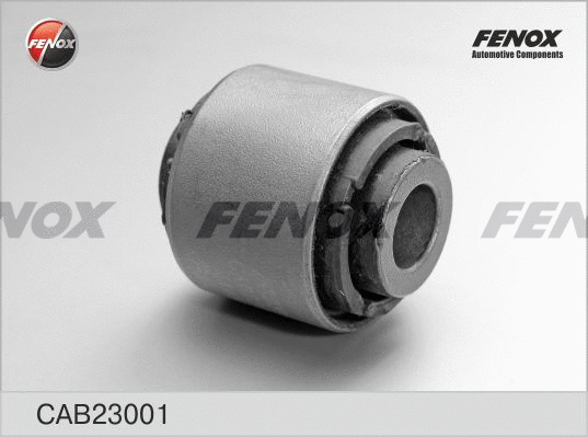 Mounting, control/trailing arm (CAB23001)