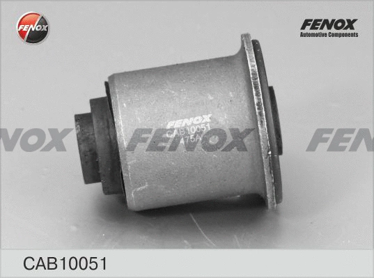 Mounting, control/trailing arm
