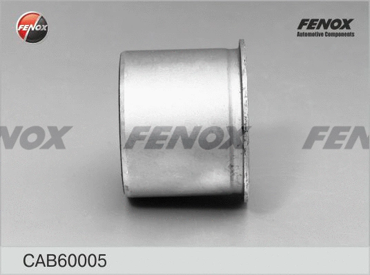 Mounting, control/trailing arm