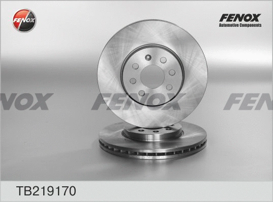 Brake Disc (TB219170)