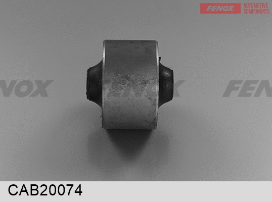 Mounting, control/trailing arm (CAB20074)