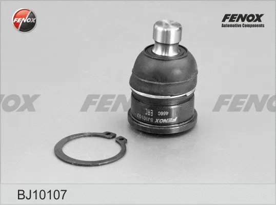 Ball Joint (BJ10107)