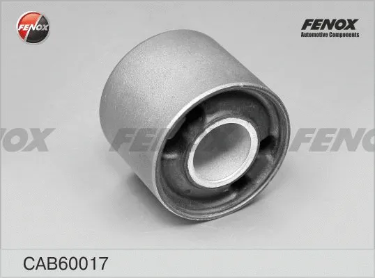Mounting, control/trailing arm