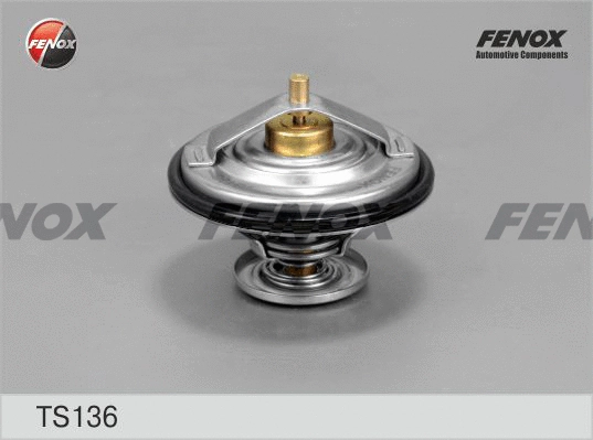 Thermostat, coolant (TS136)