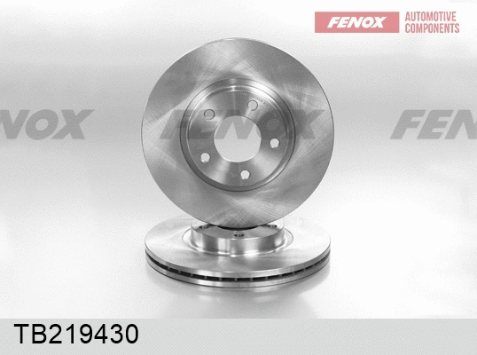 Brake Disc (TB219430)