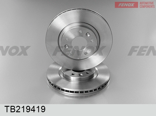 Brake Disc (TB219419)