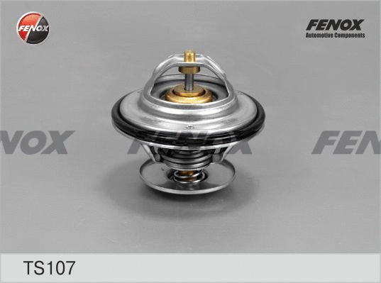 Thermostat, coolant (TS107)