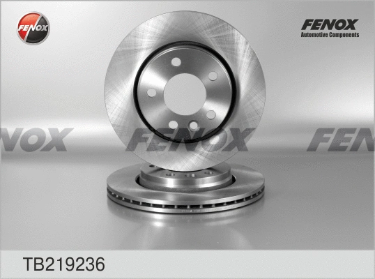 Brake Disc (TB219236)