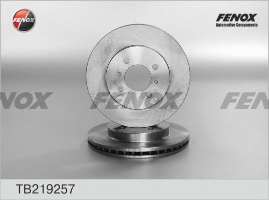 Brake Disc (TB219257)