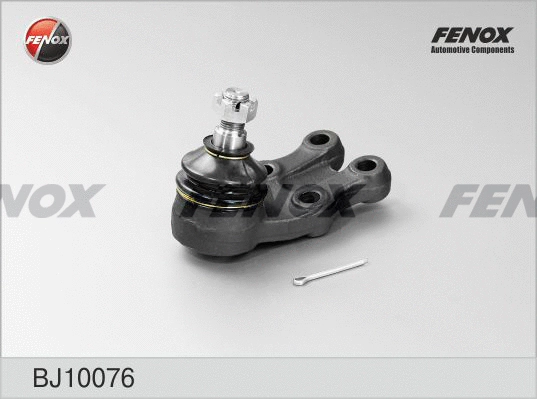 Ball Joint (BJ10076)