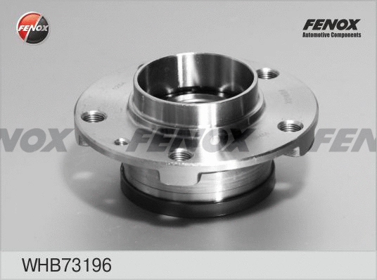 Wheel Hub (WHB73196)
