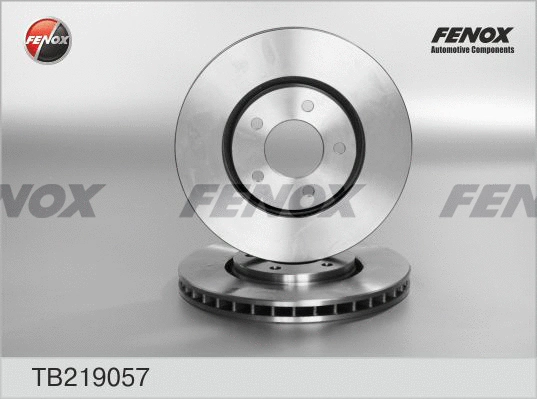Brake Disc (TB219057)