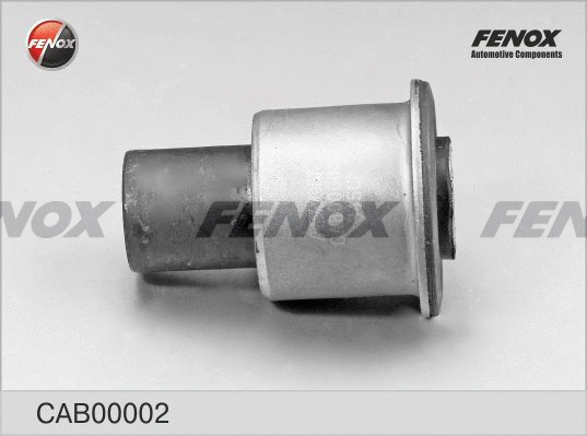 Mounting, control/trailing arm