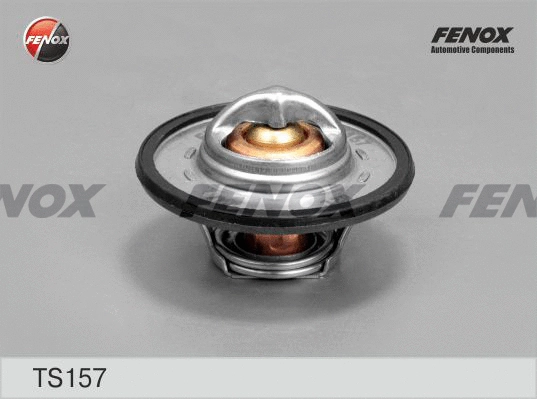 Thermostat, coolant (TS157)