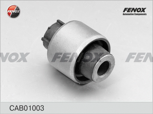 Mounting, control/trailing arm (CAB01003)