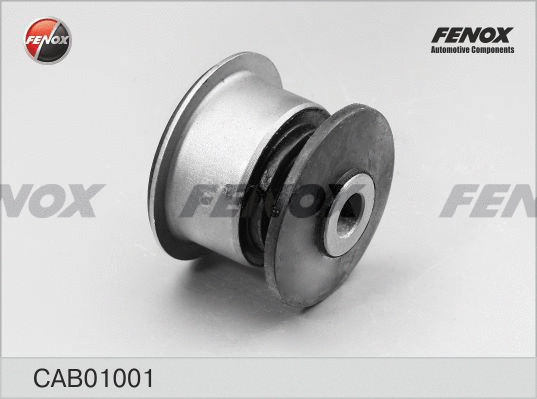Mounting, control/trailing arm (CAB01001)
