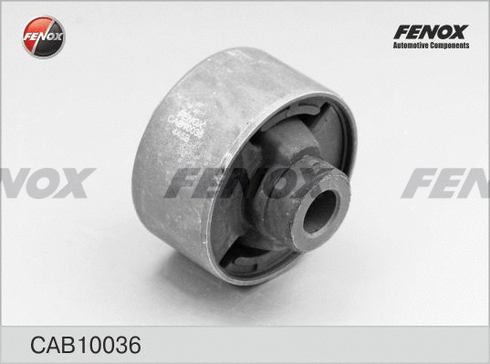 Mounting, control/trailing arm (CAB10036)