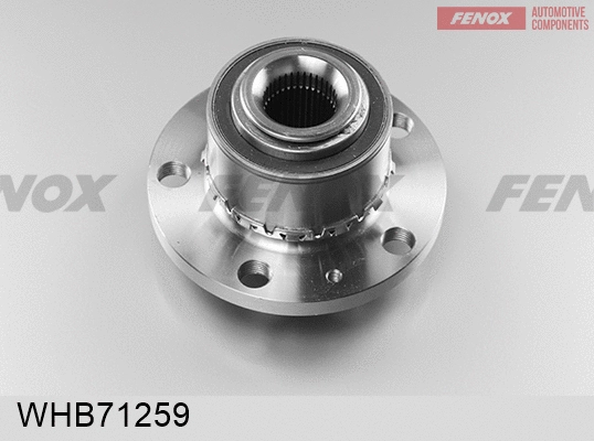 Wheel Hub (WHB71259)