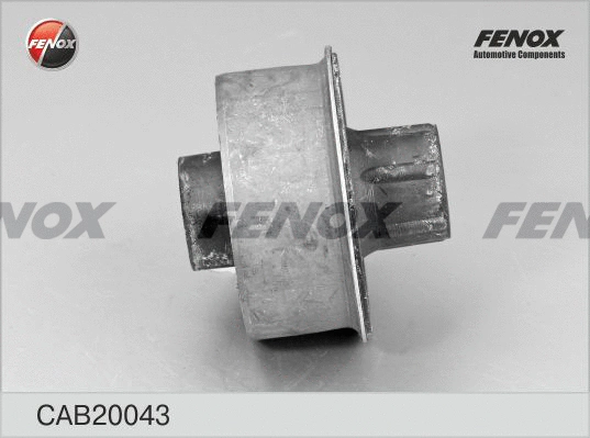 Mounting, control/trailing arm